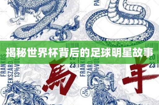 揭秘世界杯背后的足球明星故事
