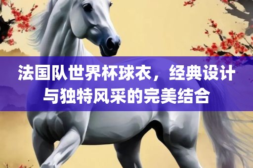 法国队世界杯球衣，经典设计与独特风采的完美结合