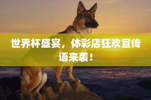 世界杯盛宴，体彩店狂欢宣传语来袭！