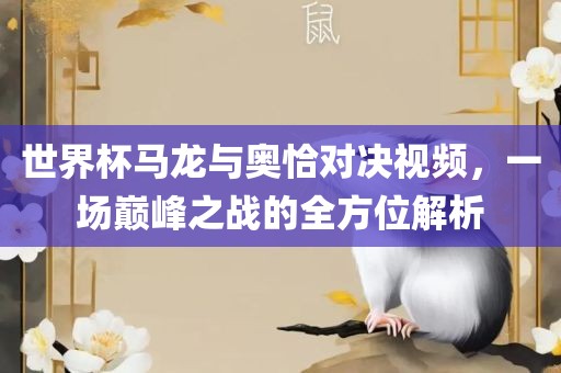 世界杯马龙与奥恰对决视频，一场巅峰之战的全方位解析