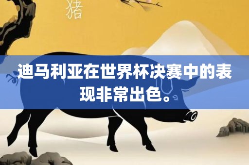 迪马利亚在世界杯决赛中的表现非常出色。