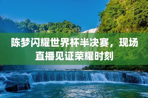 陈梦闪耀世界杯半决赛，现场直播见证荣耀时刻