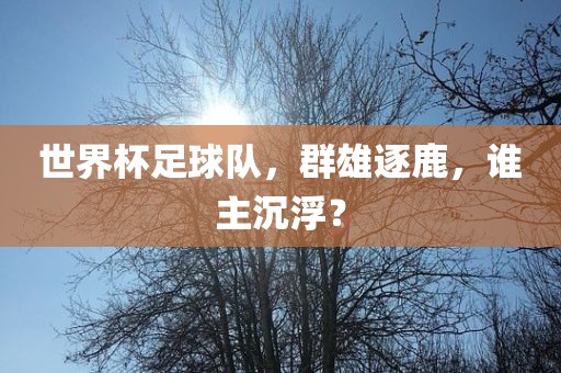 世界杯足球队，群雄逐鹿，谁主沉浮？广西贺州市华昌新材料有限公司
