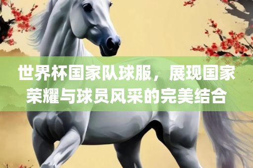 世界杯国家队球服，展现国家荣耀与球员风采的完美结合