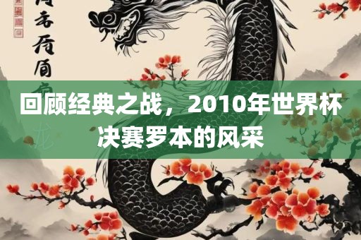 回顾经典之战，2010年世界杯决赛罗本的风采