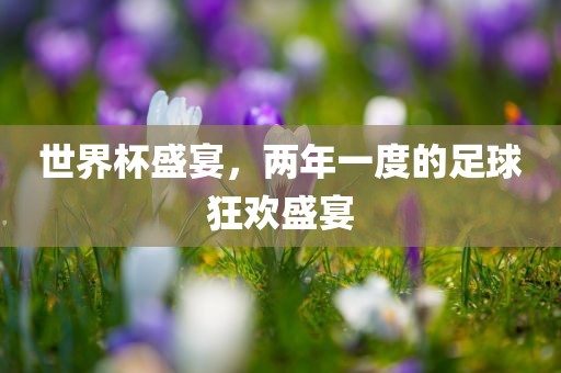 世界杯盛宴，两年一度的足球狂欢盛宴