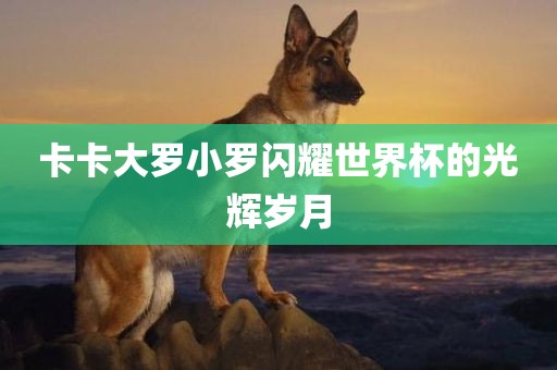 卡卡大罗小罗闪耀世界杯的光辉岁月