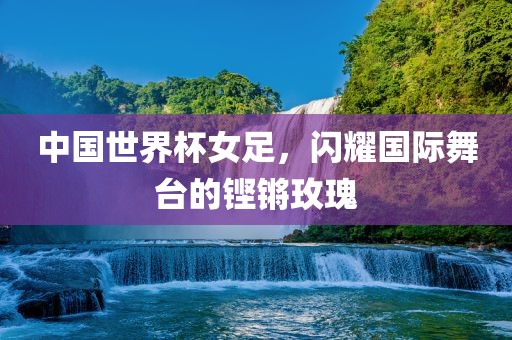 中国世界杯女足，闪耀国际舞台的铿锵玫瑰