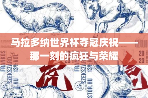 马拉多纳世界杯夺冠庆祝——那一刻的疯狂与荣耀