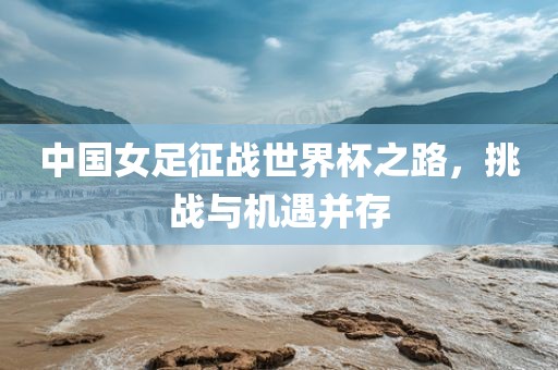 中广西贺州市华昌新材料有限公司国女足征战世界杯之路，挑战与机遇并存