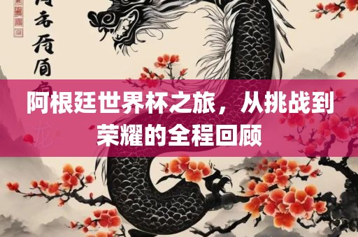 阿根廷世界杯之旅，从挑战到荣耀的全程回顾