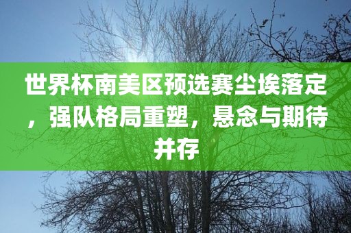 世界杯南美区预选赛尘埃落定，强队格局重塑，悬念与期待并存