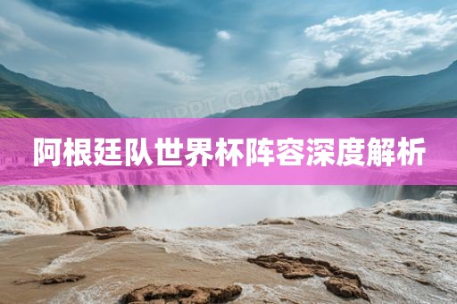 阿根廷队世界杯阵容深度解析