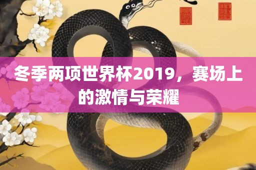冬季两项世界杯2019，赛场上的激情与荣耀
