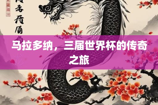 马拉多纳，三届世界杯的传奇之旅