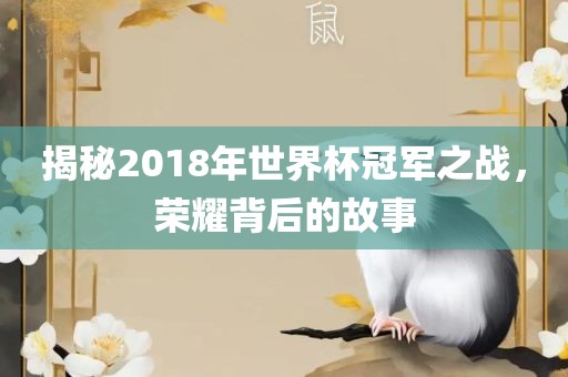 揭秘2018年世界杯冠军之战，荣耀背后的故事