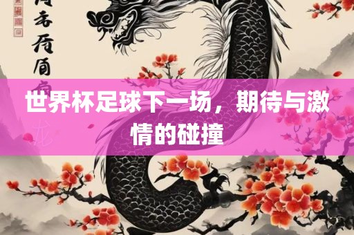 世界杯足球下一场，期待与激情的碰撞