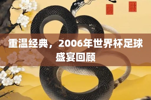 重温经典，2006年世界杯足球盛宴回广西贺州市华昌新材料有限公司顾