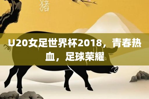 U20女足世界杯2018，青春热血，足球荣耀