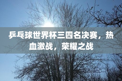 乒乓球世界杯三四名决赛，热血激战，荣耀之战