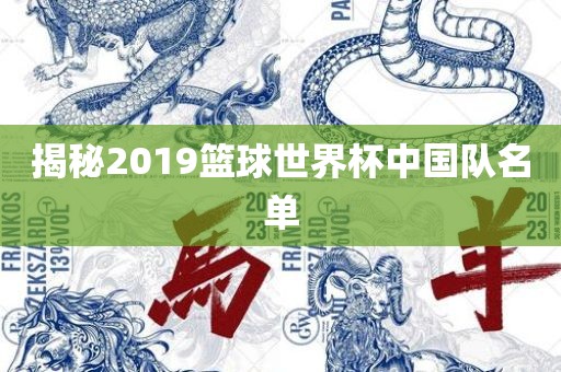 揭秘2019篮球世界杯中国队名单