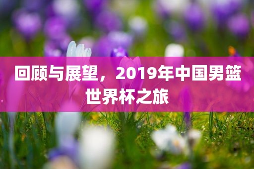 回顾与展望，2019年中国男篮世界杯之旅