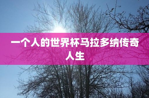 一个人的世界杯马拉多纳传奇人生