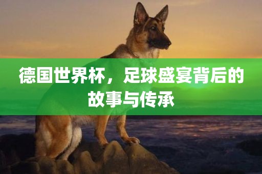 德国世界杯，足球盛宴背后的故事与传承