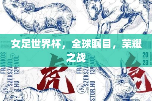 女足世界杯，全球瞩目，荣耀之战