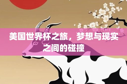 美国世界杯之旅，梦想与现实之间的碰撞