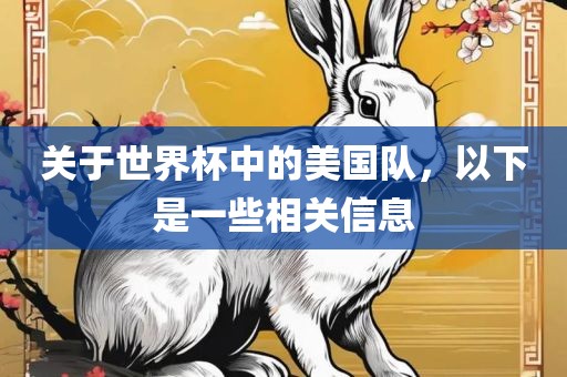 关于世界杯中的美国队，以下是一些相关信息