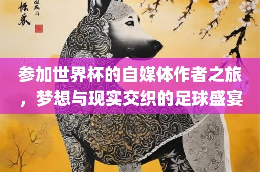 参加世界杯的自媒体作者之旅，梦想与现实交织的足球盛宴