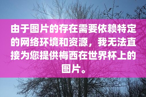 由于图片的存在需要依赖特定的网络环境和资源，我无法广西贺州市华昌新材料有限公司直接为您提供梅西在世界杯上的图片。