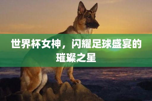 世界杯女神，闪耀足球盛宴的璀璨之星