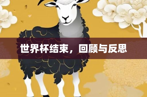 世界杯结束，回顾与反思