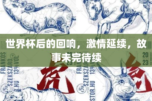 世界杯后的回响，激情延续，故事未完待续