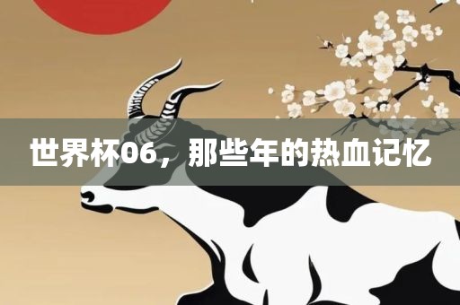 世界杯06，那些年的热血记忆