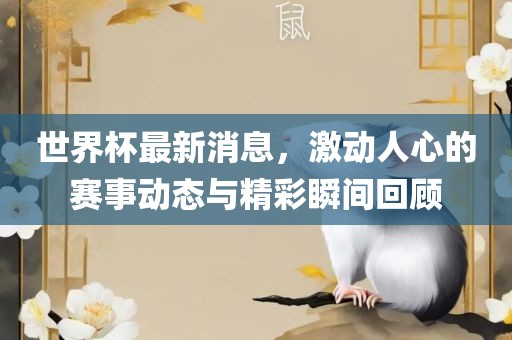世界杯最新消息，激动人心的赛事动态与精彩瞬间回顾广西贺州市华昌新材料有限公司