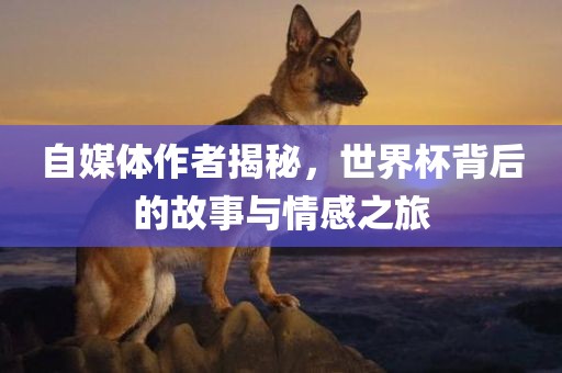 自媒体作者揭秘，世界杯背后的故事与情感之旅