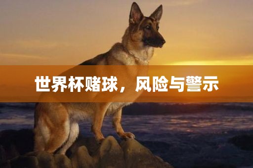 世界杯赌球，风险与警示