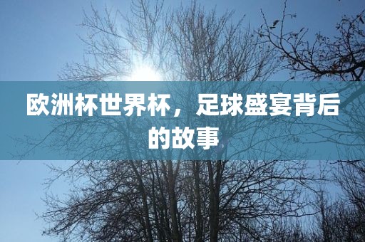 欧洲杯世界杯，足球盛宴背后的故事