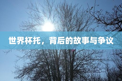 世界杯托，背后的故事与争议