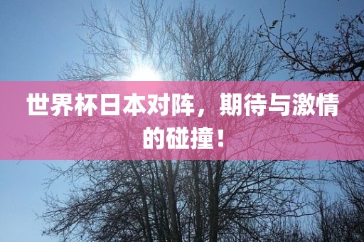 世界杯日本对阵，期待与激情的碰撞！