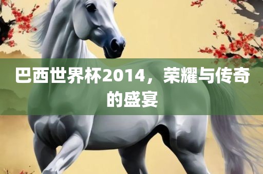 巴西世界杯2014，荣耀与传奇的盛宴