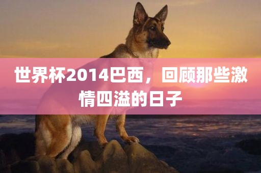 世界杯2014巴西，回顾那些激情四溢的日子