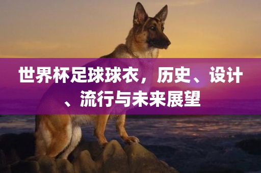 世界杯足球球衣，历史、设计、流行与未来展望