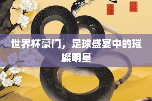 世界杯豪门，足球盛宴中的璀璨明星