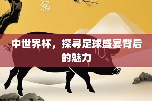 中世界杯，探寻足球盛宴背后的魅力
