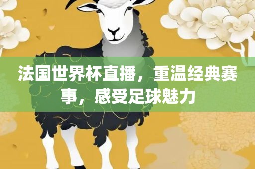 法国世界杯直播，重温经典赛事，感受足球魅力
