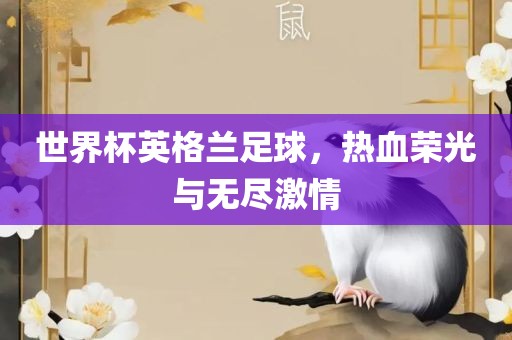 世界杯英格兰足球，热血荣光与无尽激情